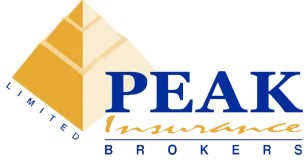 Peak Insurance Brokers — AlphaTech Solutions client